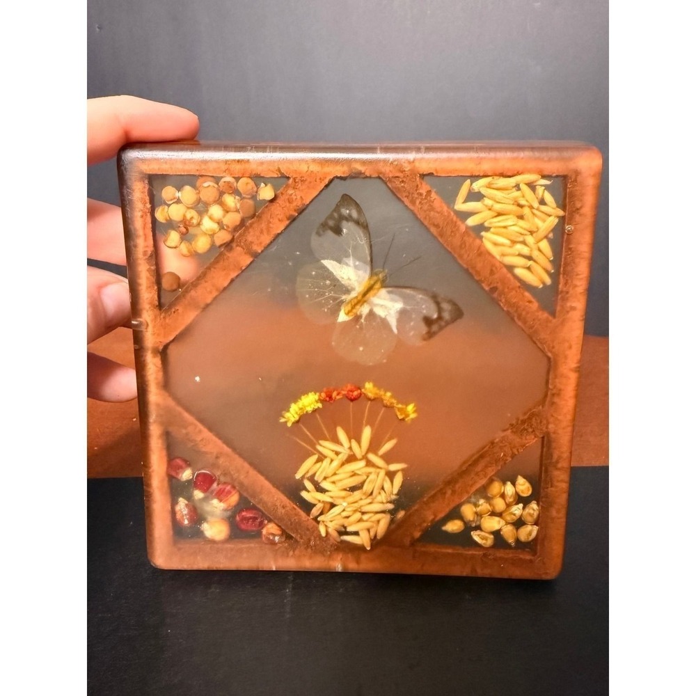 Vintage Resin Butterfly Specimen Paperweight Dried Flowers Grains Seeds 5.5"